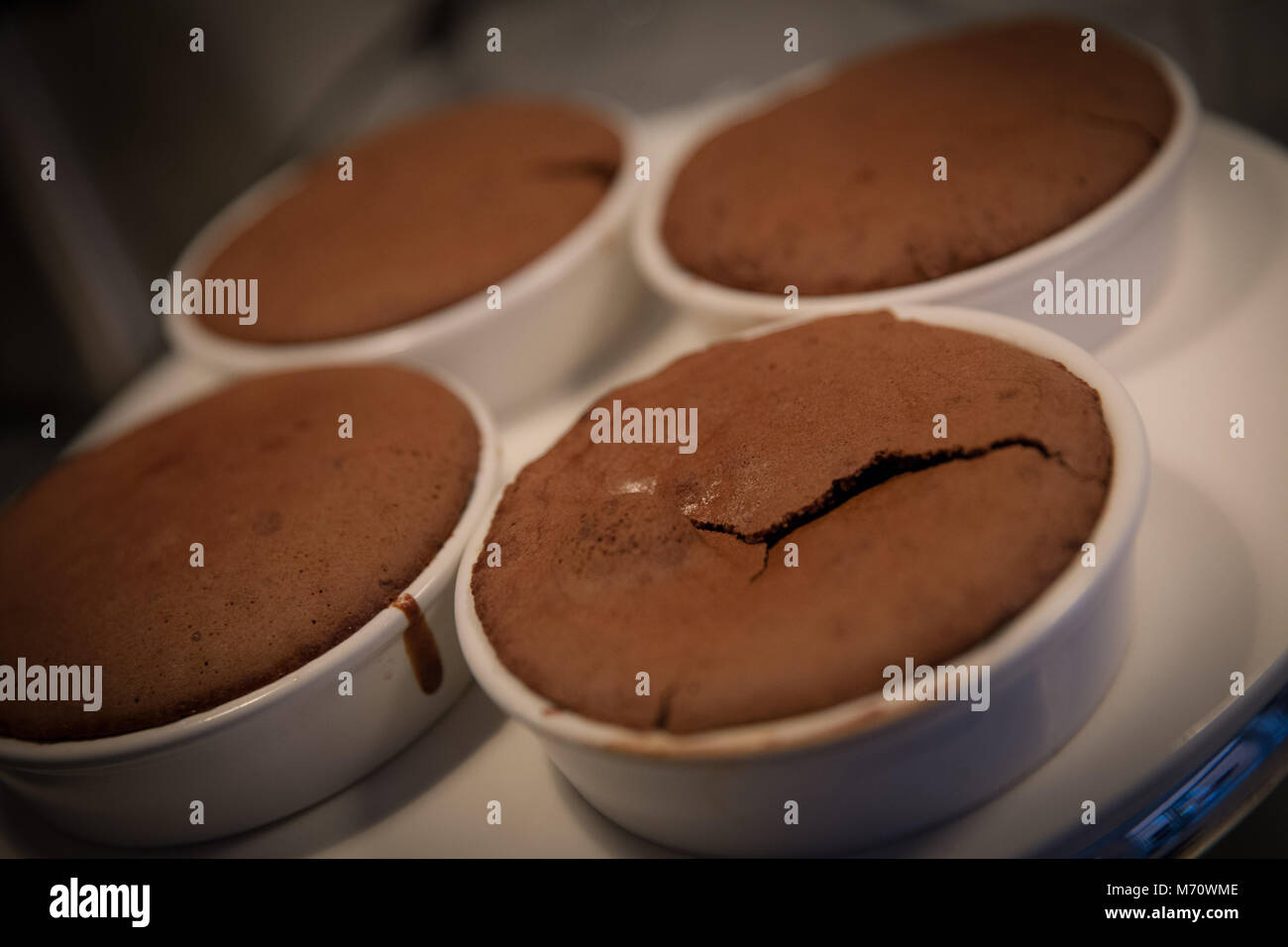 Flourless Französischer Schokoladenkuchen Stockfoto