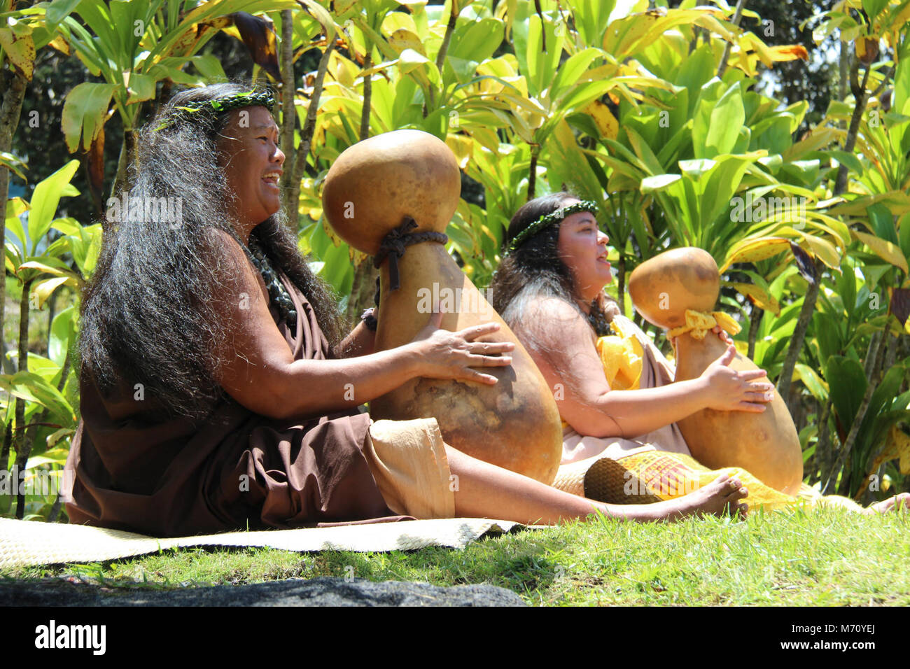 Hula hālau UlumamooHilo Palikū. Stockfoto