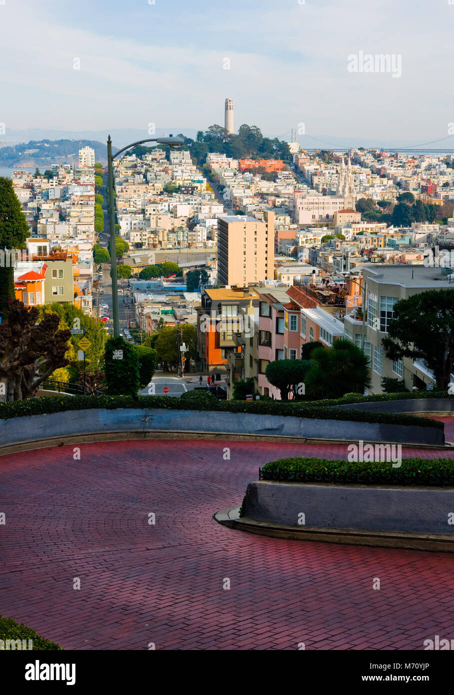 Lombard Street in San Francisco Stockfoto