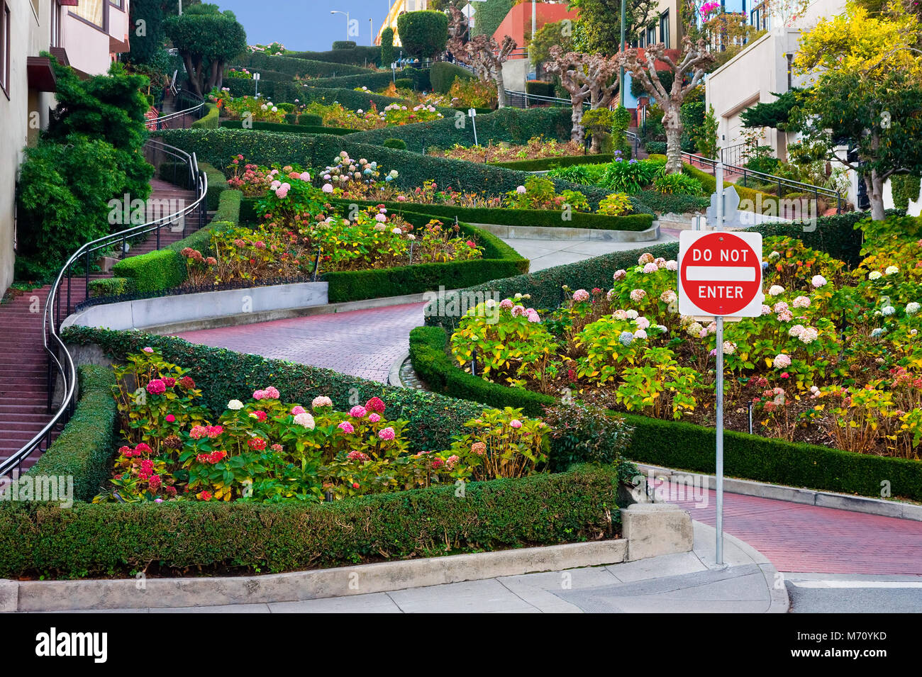 Lombard Street in San Francisco Stockfoto