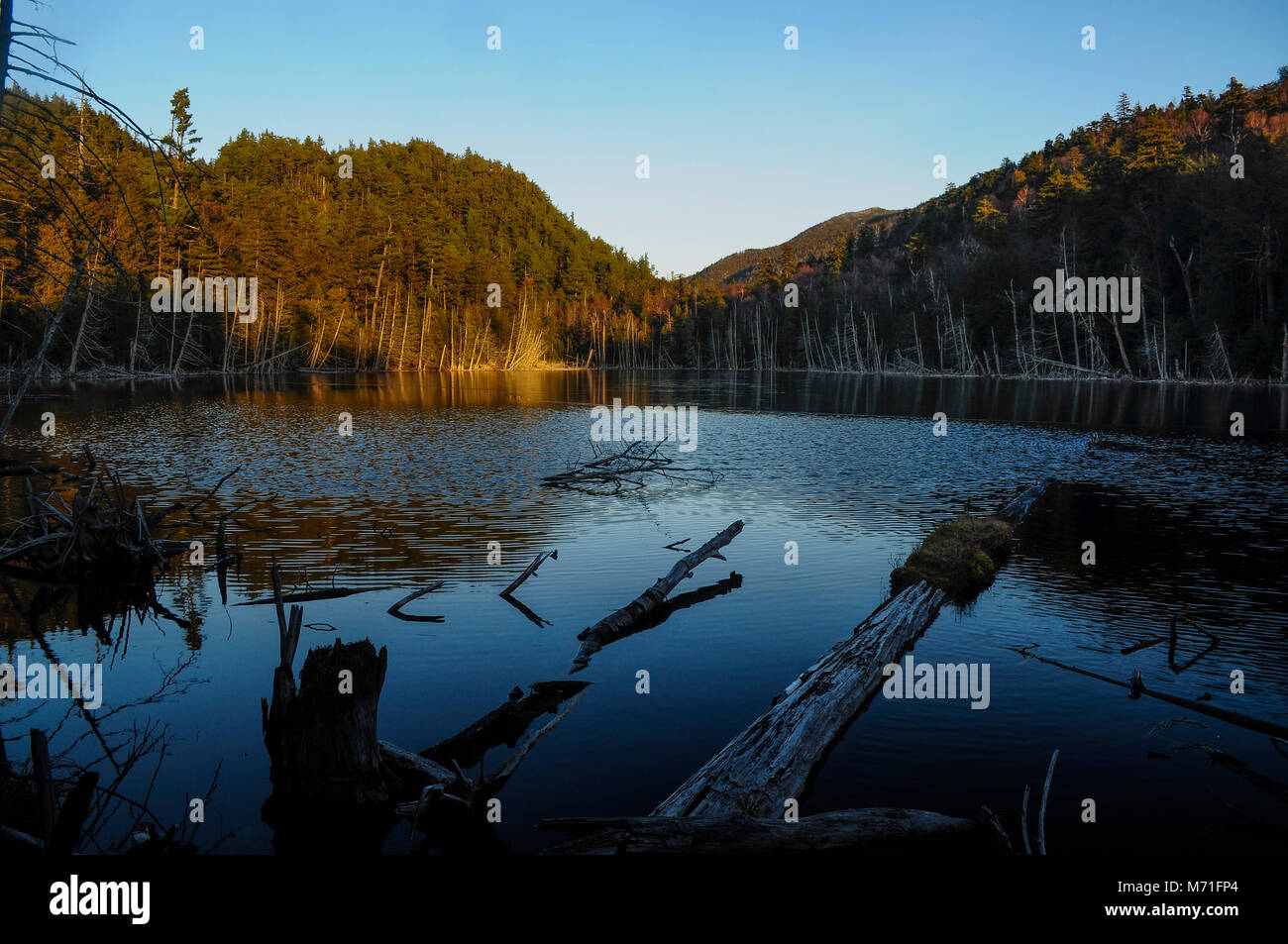 Winde Teich, Sentinel Range Wilderness Area, Adirondack Forest Preserve, New York Stockfoto