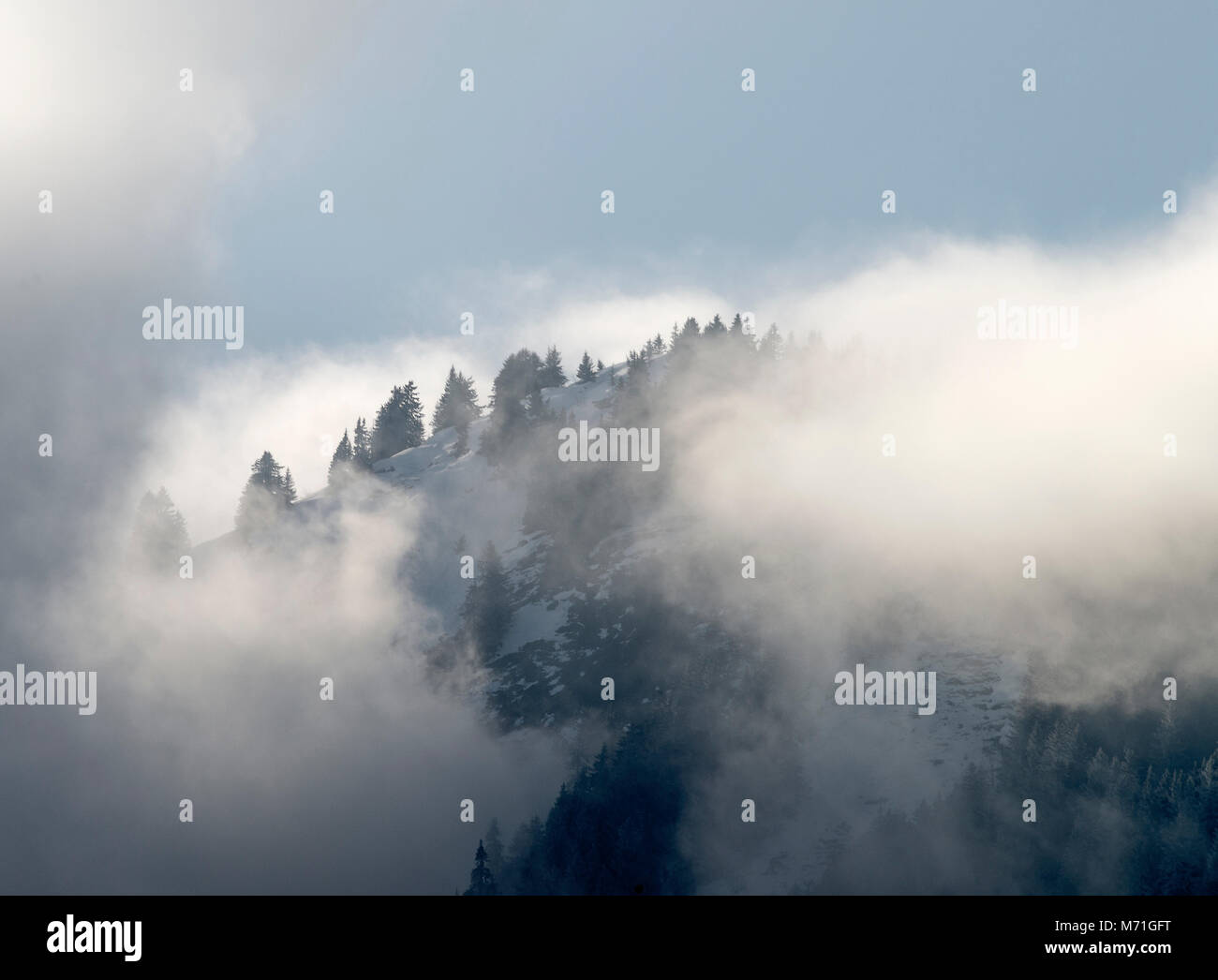 Weiß Wispy Wolken bedecken den Berg, in einem Pinienwald, geschmückt mit blauen Himmel in der Nähe von Essert Romand Morzine Französische Alpen Haute Savoie Frankreich Stockfoto