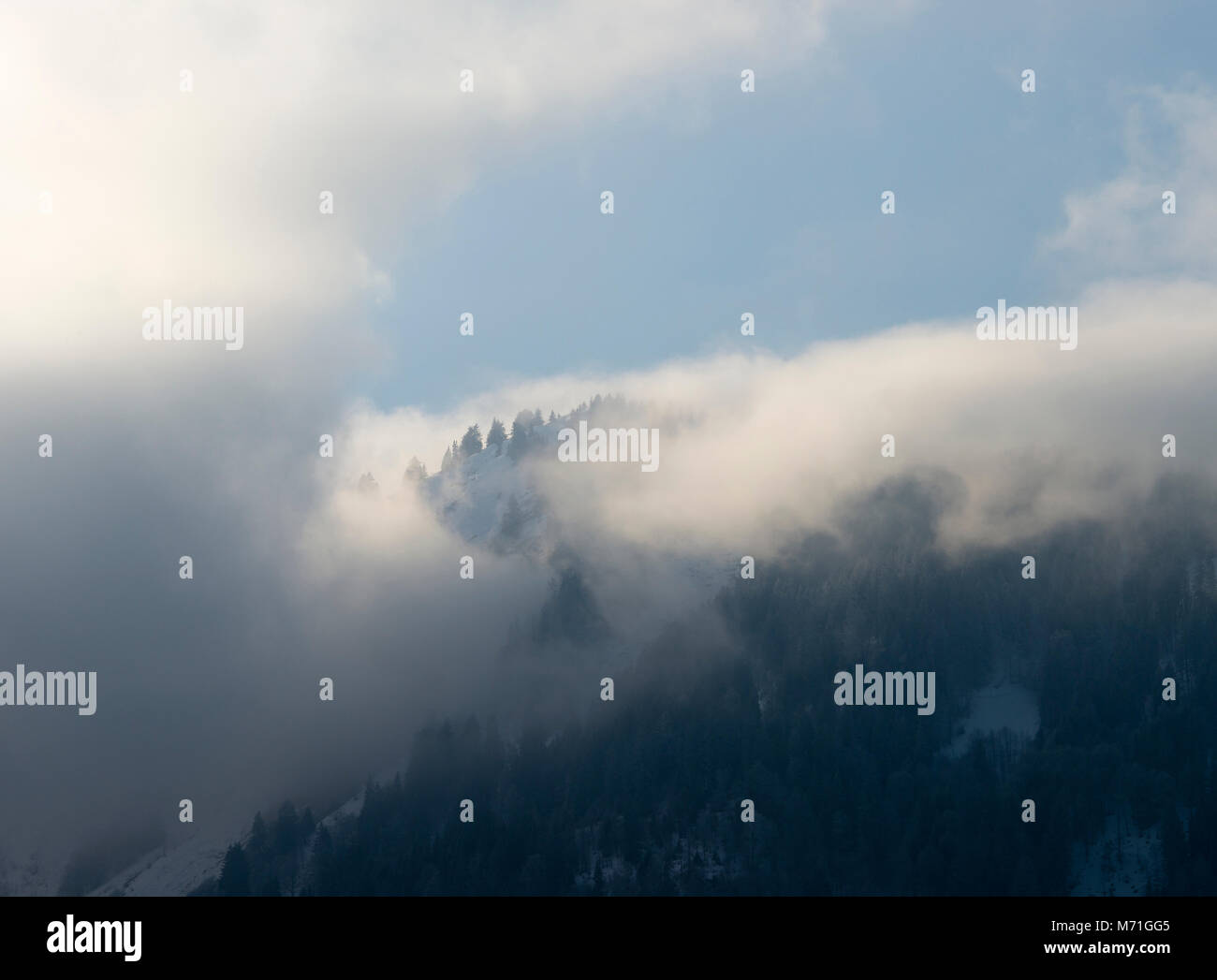 Weiß Wispy Wolken bedecken den Berg, in einem Pinienwald, geschmückt mit blauen Himmel in der Nähe von Essert Romand Morzine Französische Alpen Haute Savoie Frankreich Stockfoto