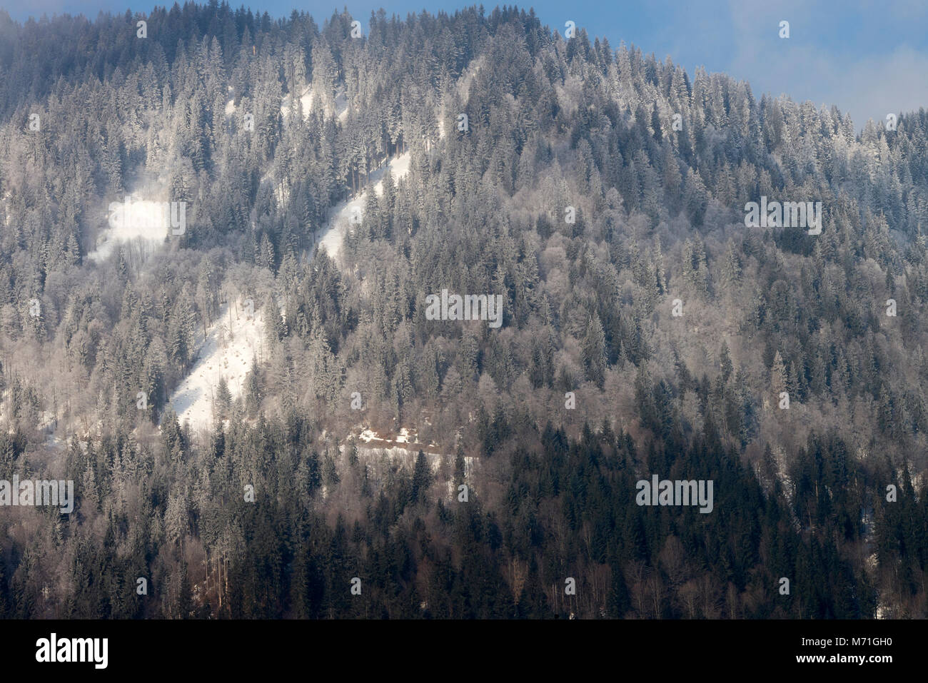 Die schöne Aussicht im Winter Sonnenschein des Dorfes Essert Romand mit der Französischen Alpen und den Pinienwald von Morzine Haute Savoie Frankreich Stockfoto