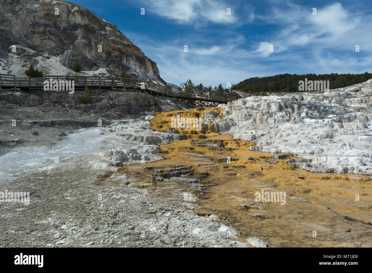 Heiße Mineralwasser feeds baterica wie es läuft bergab drehen den Boden Braun bei Mammoth Hot Springs, Yellowstone National Par Stockfoto