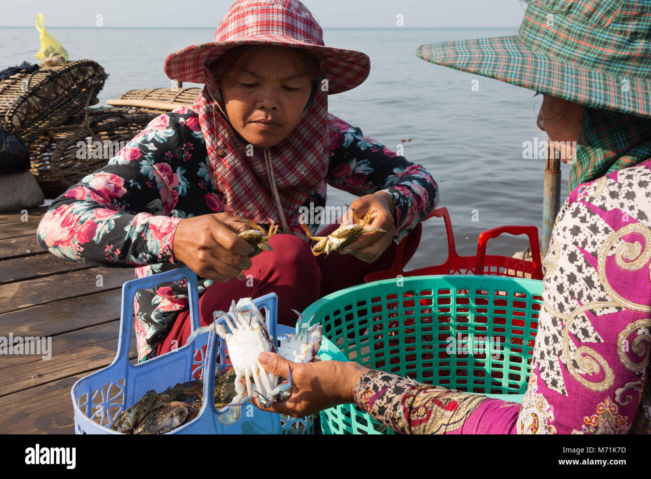 Kep Kambodscha - Frauen arbeiten Sortierung crabsfor Kep Crab Markt, Kampot Province, Kambodscha Asien Stockfoto