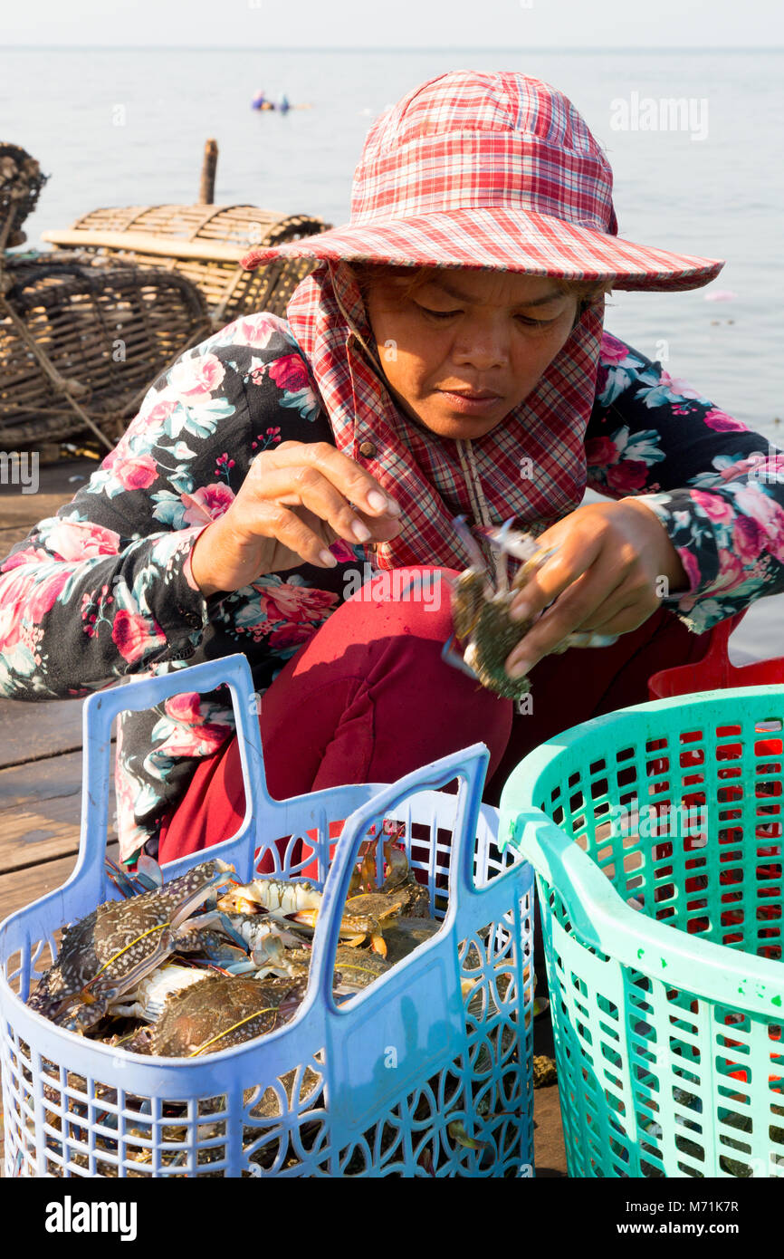 Kep Kambodscha - Frauen arbeiten Sortierung crabsfor Kep Crab Markt, Kampot Province, Kambodscha Asien Stockfoto
