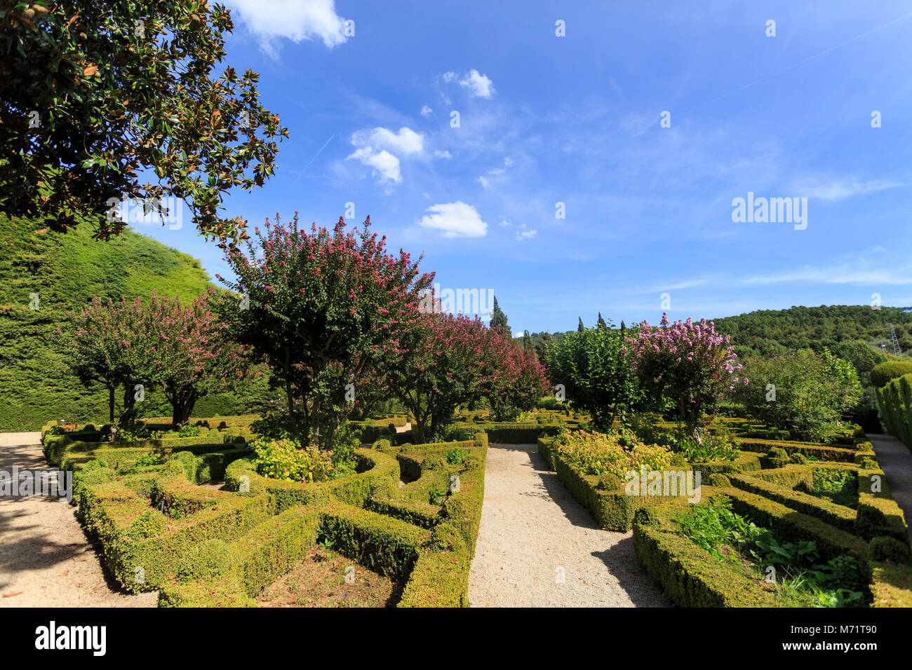 Spektakuläre Garten im französischen Stil aus zugeschnitten Buchsbaum, Buxus sempervirens, Mateus Palast, Vila Real Portugal Stockfoto