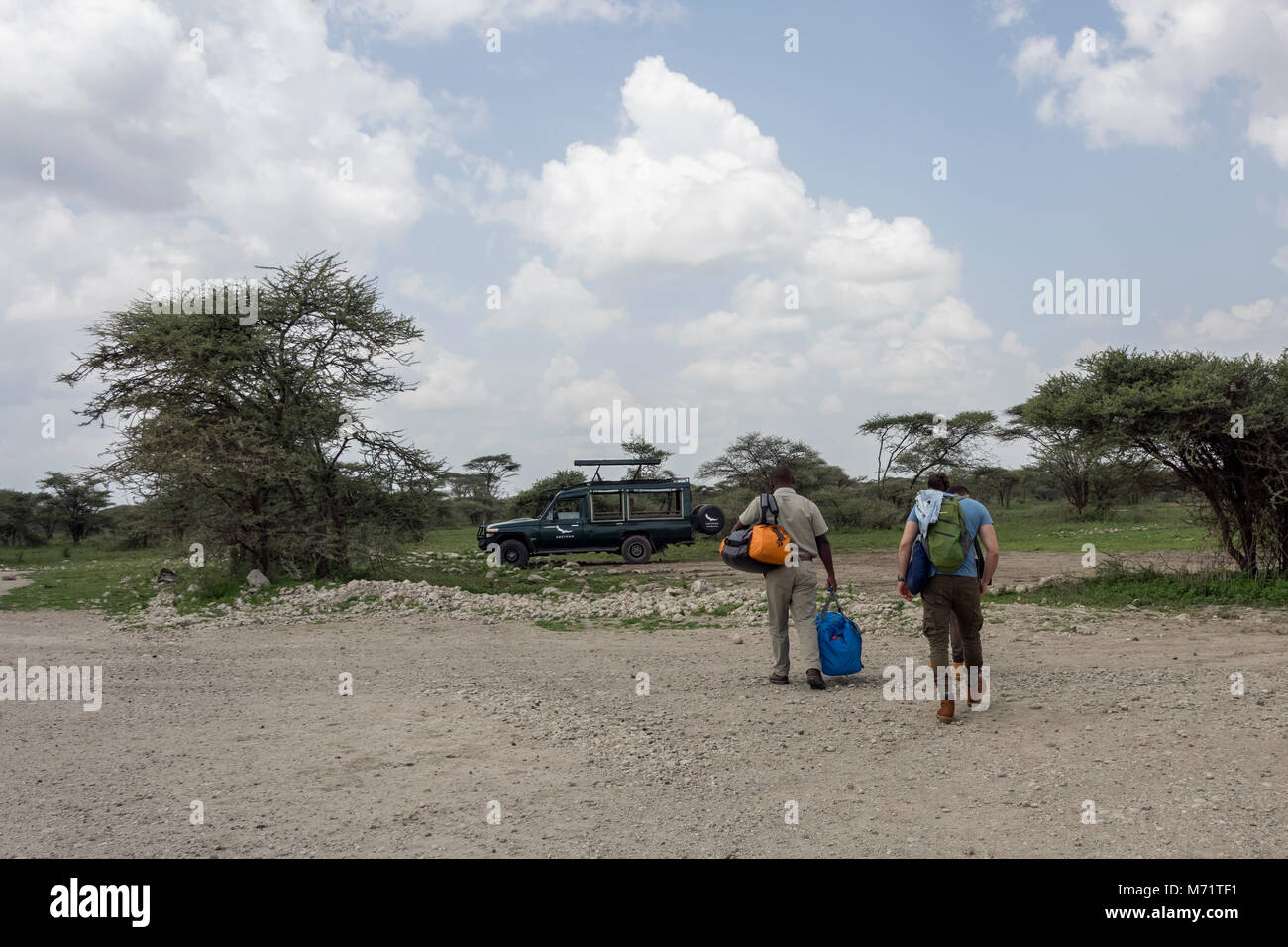 Position heraus auf Safari, Sasakawa Landebahn, Serengeti, Tansania, Ostafrika Stockfoto