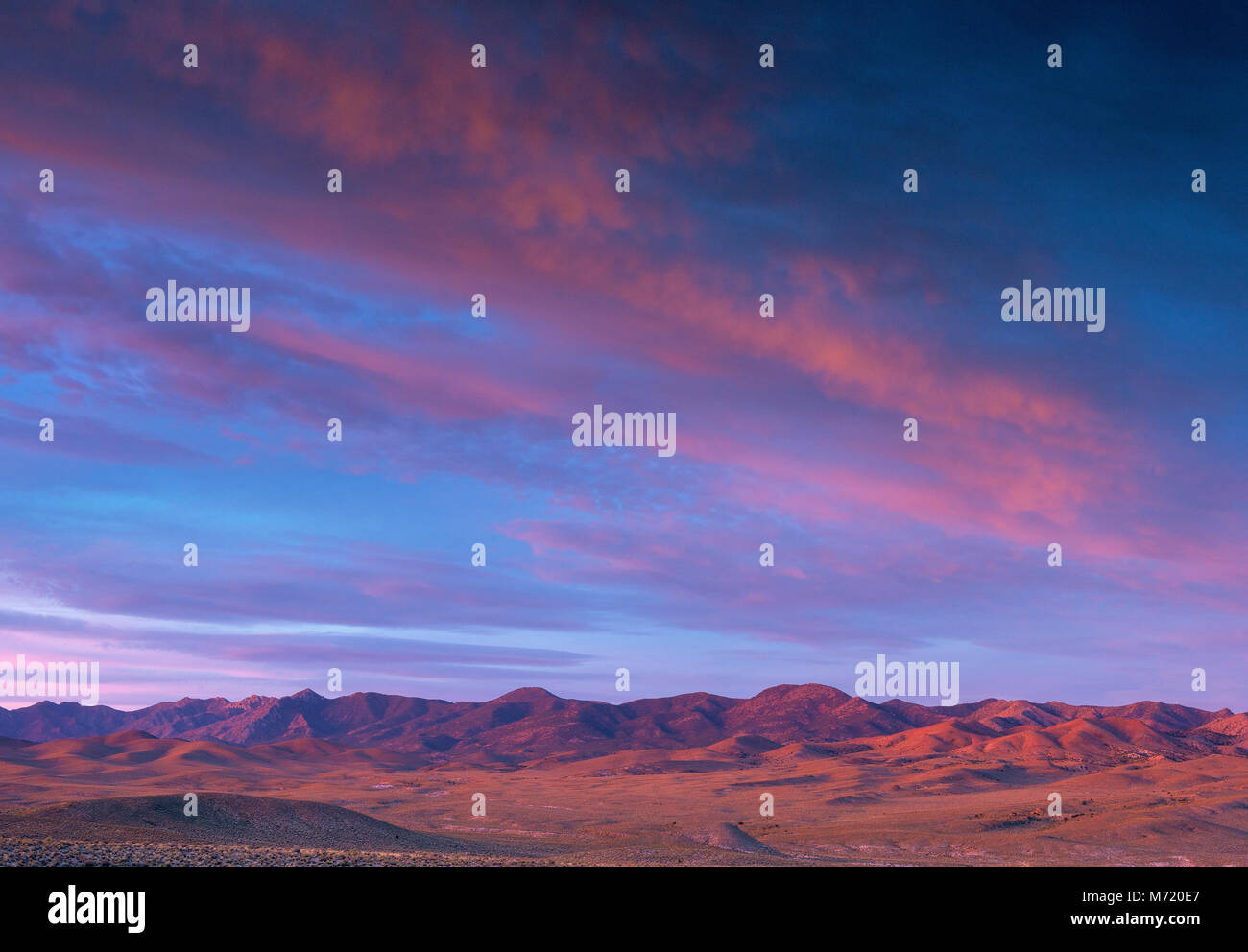 Dawn, Coyote Gipfel, Timpahute, Nevada Stockfoto