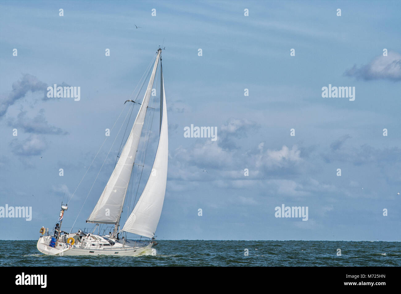 Niederlande - Aug 2, 2008: Holländische Segelschiff mit Solo saileron den Ozean Stockfoto