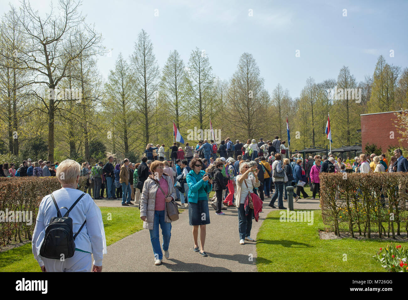 KEUKENHOF, Lisse, Niederlande - 24 April 2015: Touristen, die bunten Blumen im Keukenhof in den Niederlanden Stockfoto