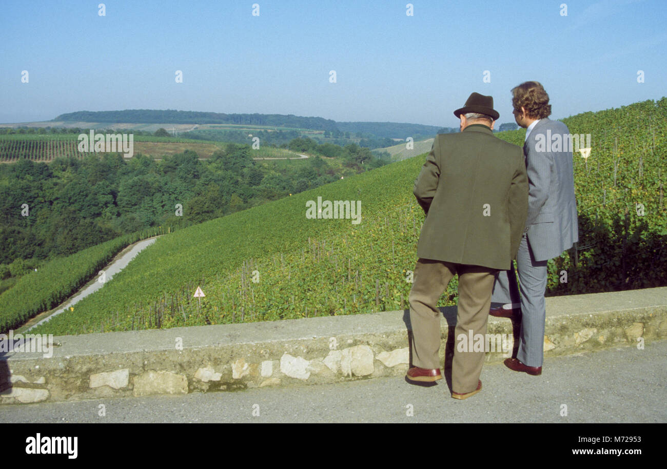 Weinberg Besitzer schauen Sie über Ihre Habseligkeiten mit Weinbergen 2010 Stockfoto