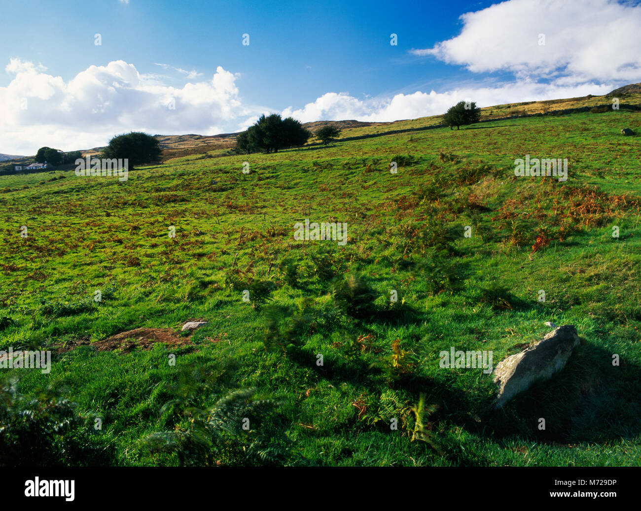 Anzeigen NW von CAE-Coch Späten Eisenzeit Plattform Siedlung auf der S Pisten der Tal y Ventilator mit Blick auf das Tal von Conwy, North Wales, UK. Stockfoto