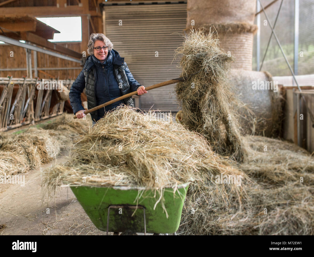 Die Landwirte Frau stabil arbeiten 11. Stockfoto
