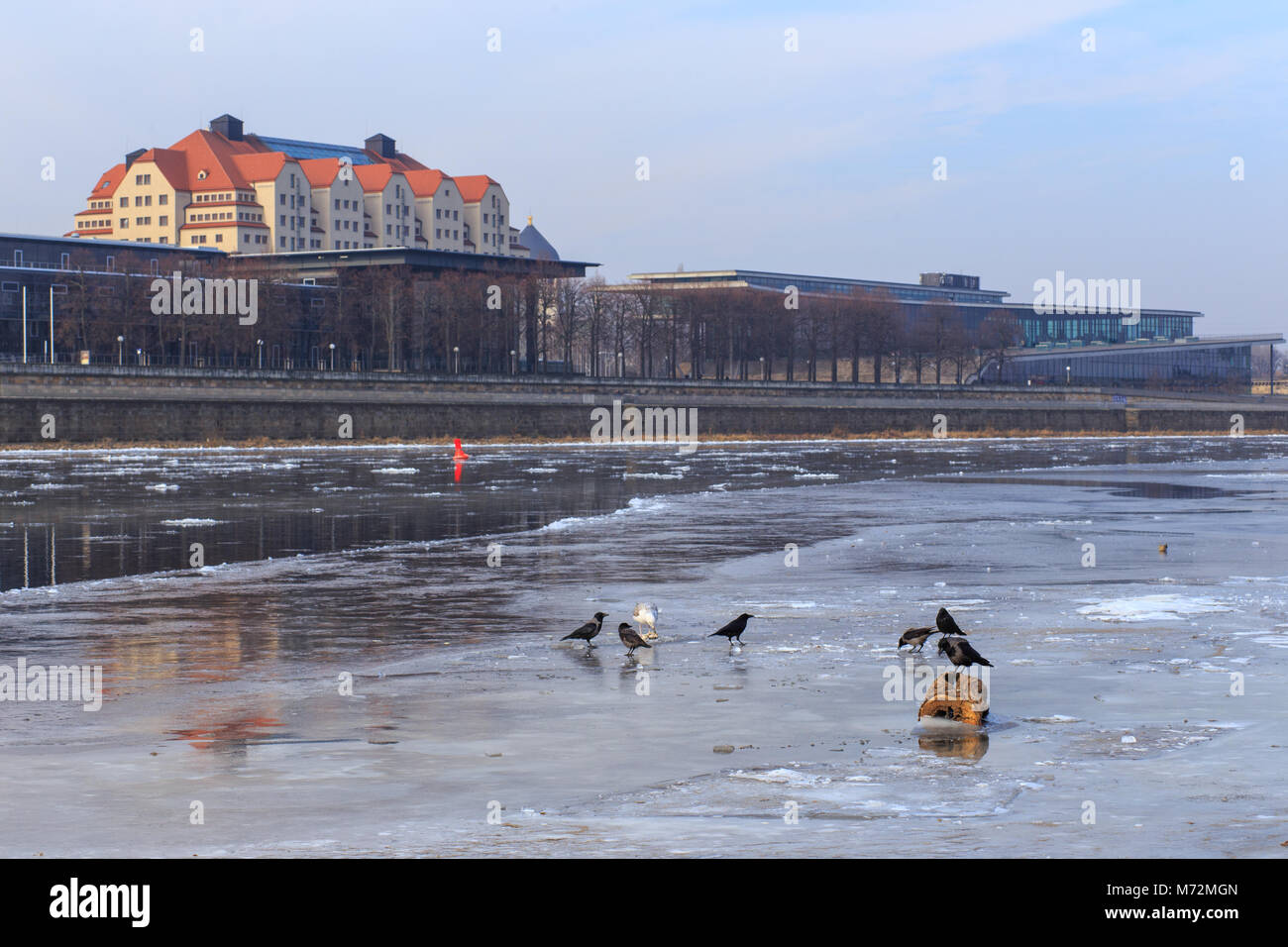 Landtag von Sachsen, Kongresszentrum und Hotel an der Elbe in Dresden, Deutschland Stockfoto