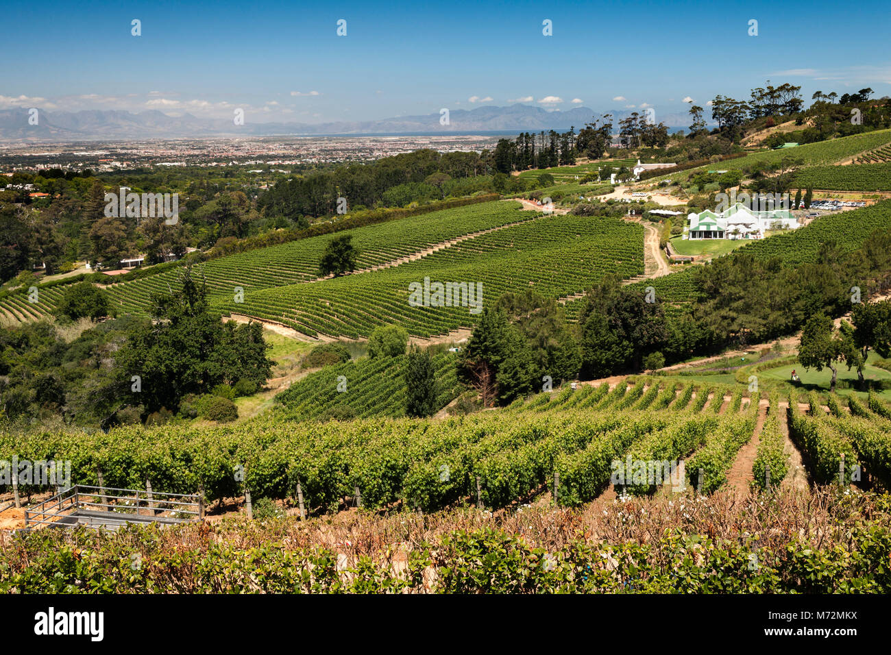 Blick über das Constantia Tal von der Beau Constantia Wine Estate in Kapstadt. Stockfoto