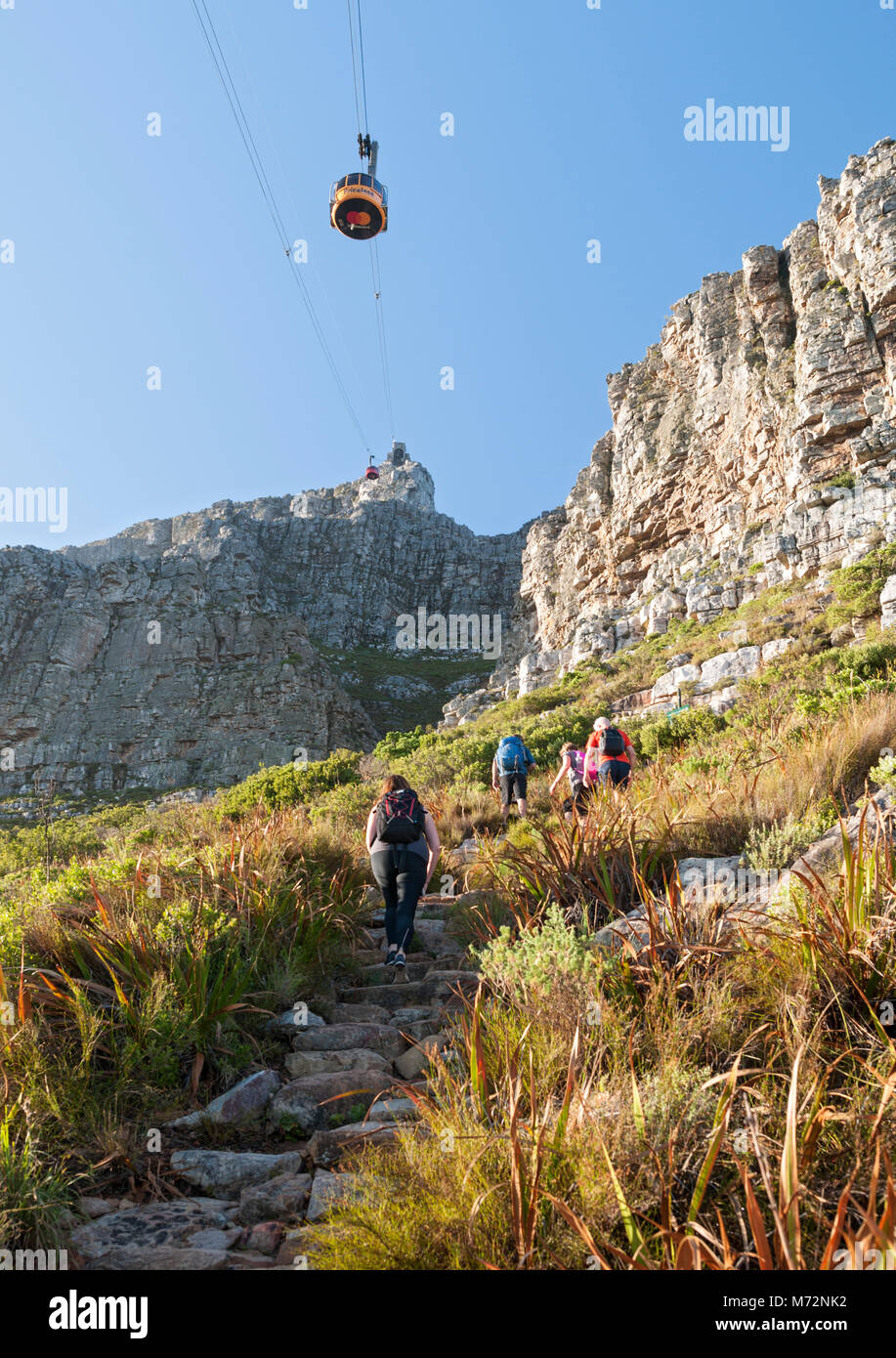 Wanderer auf der India Venster Wanderweg auf dem Tafelberg in Kapstadt. Stockfoto