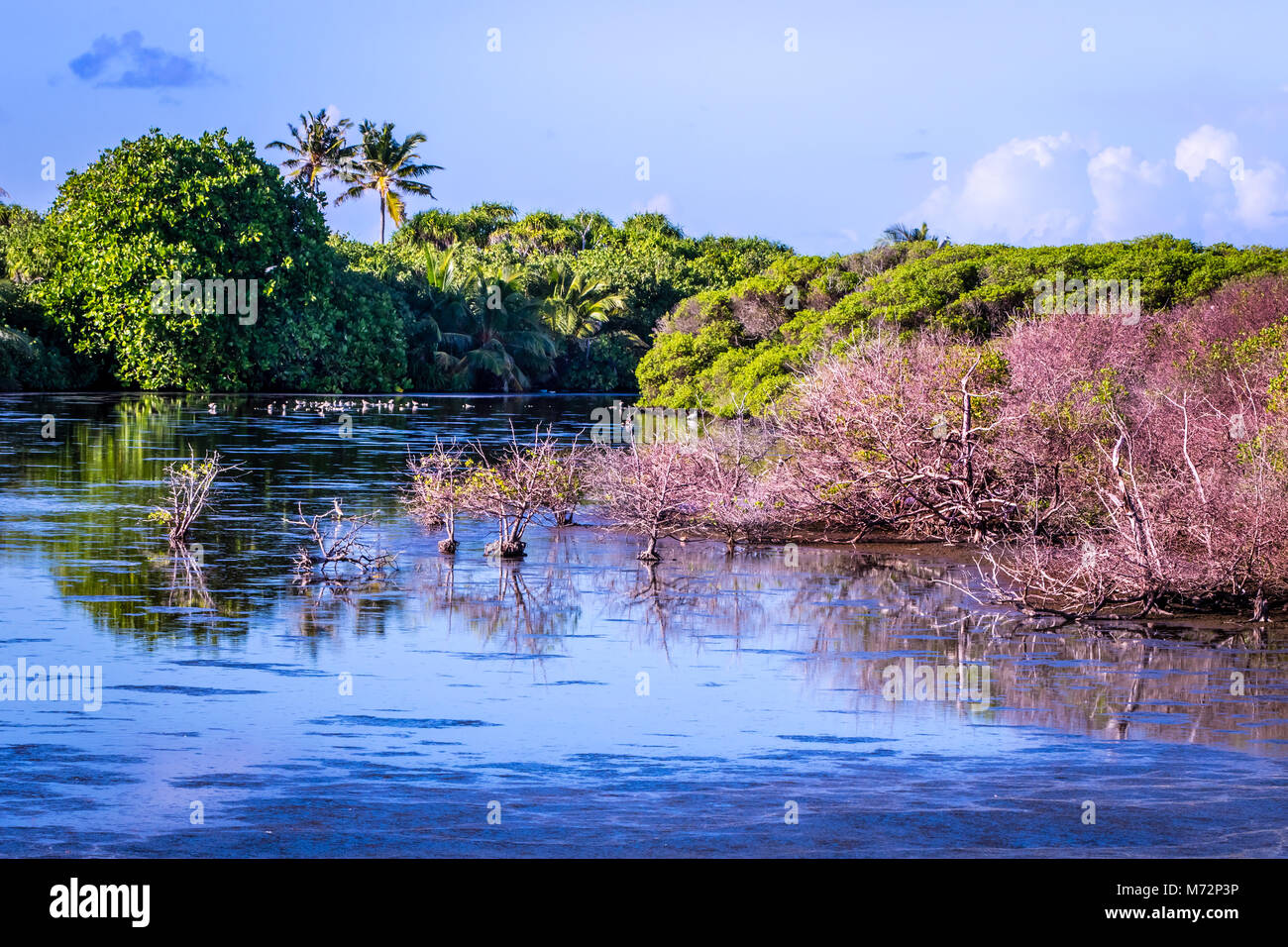 Eedhigalhi Kilhi Teich von Hithadhu, Addu Stadt, Malediven Stockfoto