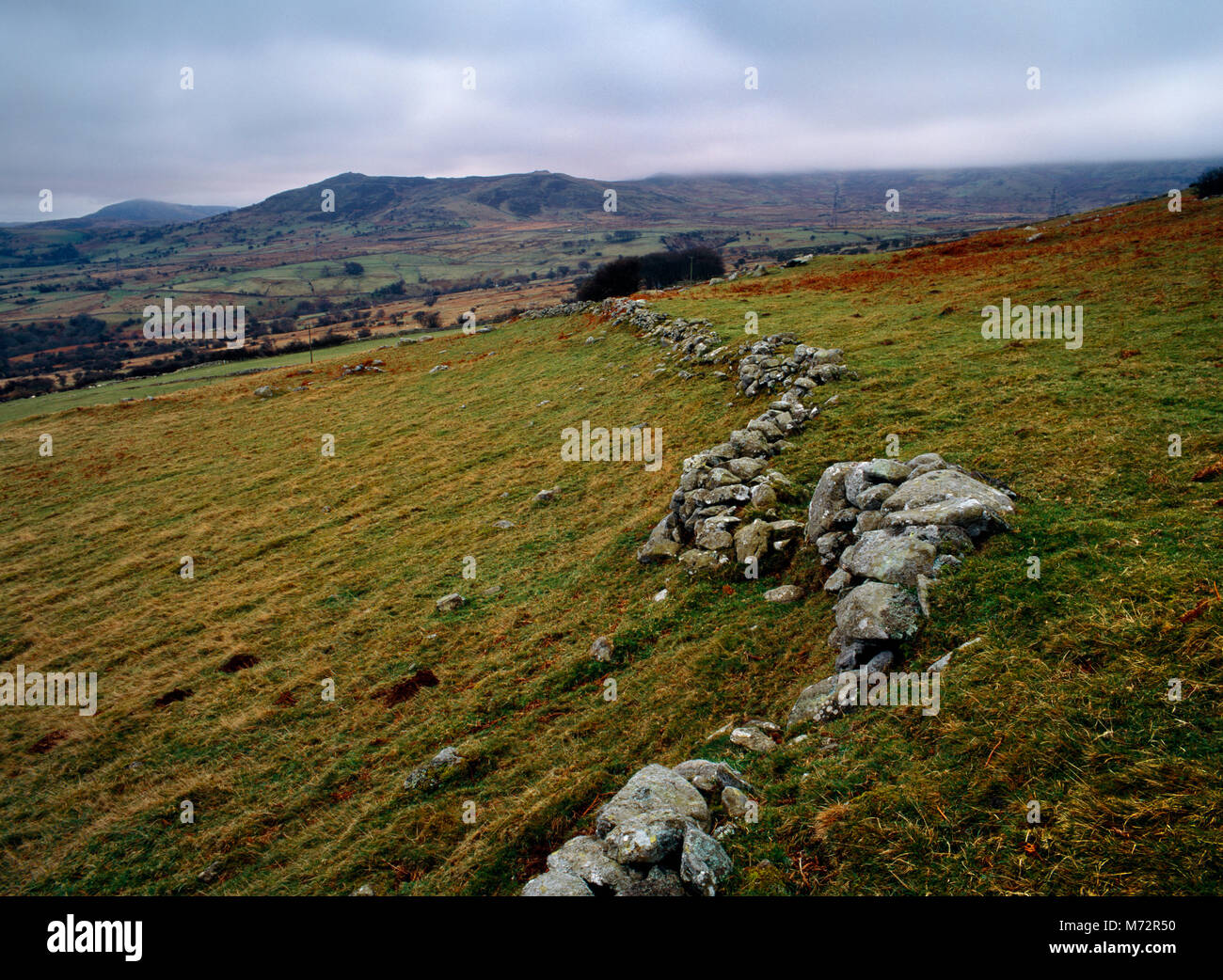 Anzeigen SSW auf die Überreste der Eisenzeit terrassierten Feldern NE von Maen y Bardd Dolmen auf dem SE-Pisten der Tal y Ventilator über dem Tal von Conwy, North Wales, UK. Stockfoto