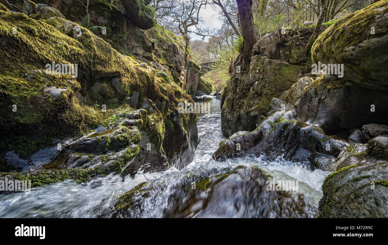 Aira tritt Wasserfälle, Lake District Stockfoto