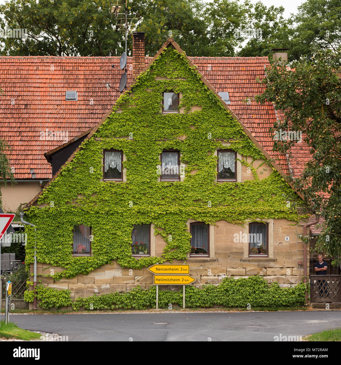 Hausfassade mit efeu bewachsen -Fotos und -Bildmaterial in hoher Auflsung   Alamy