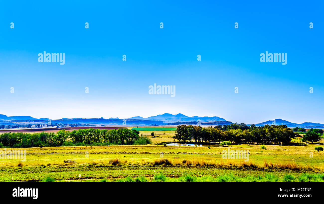 Landschaft mit den fruchtbaren Ackerland entlang der Autobahn R26, in der Provinz von Südafrika, mit der Bergkette von Lesotho in der backgro Stockfoto
