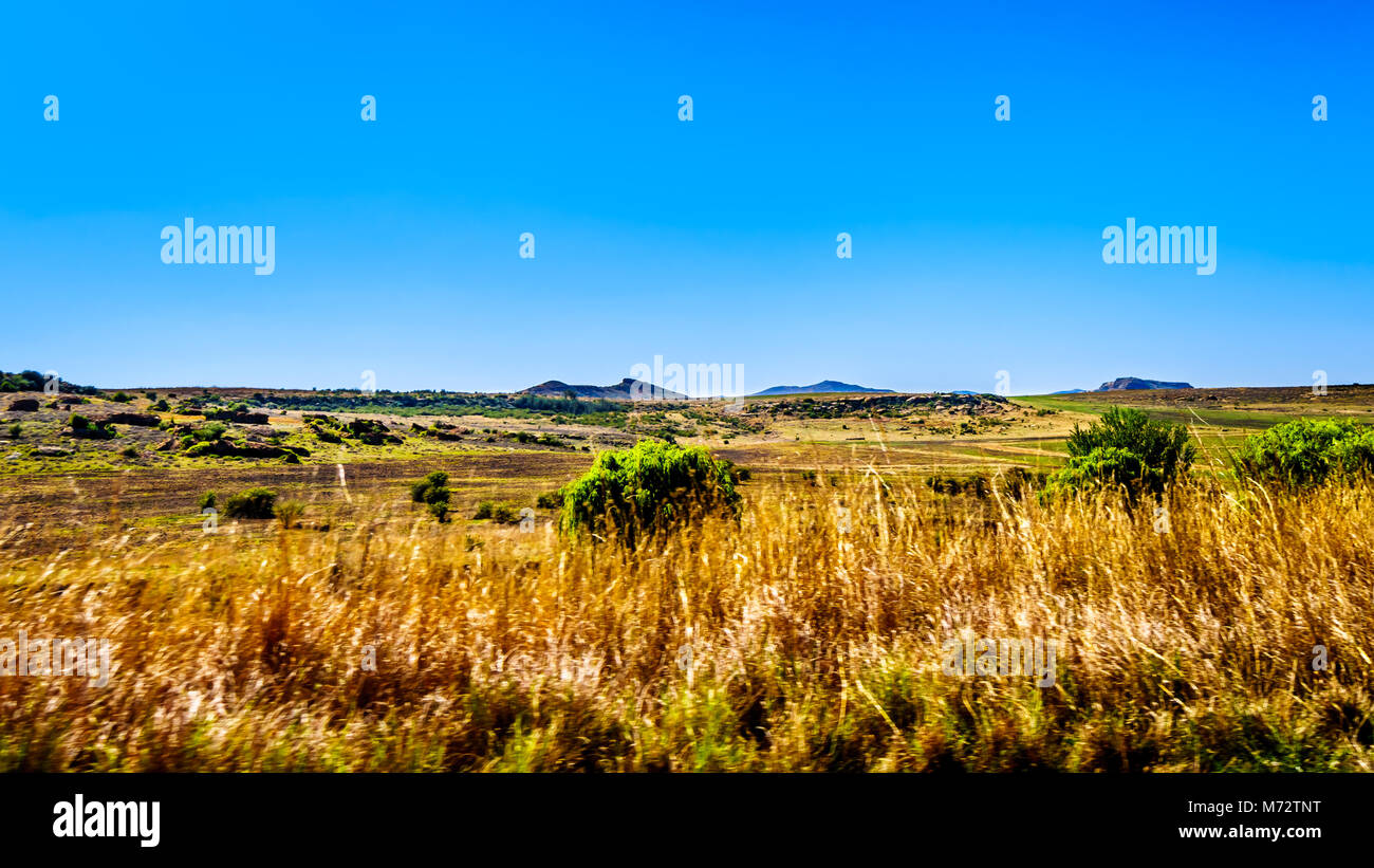 Landschaft mit den fruchtbaren Ackerland entlang der Autobahn R26, in der Provinz von Südafrika, mit der Bergkette von Lesotho in der backgro Stockfoto