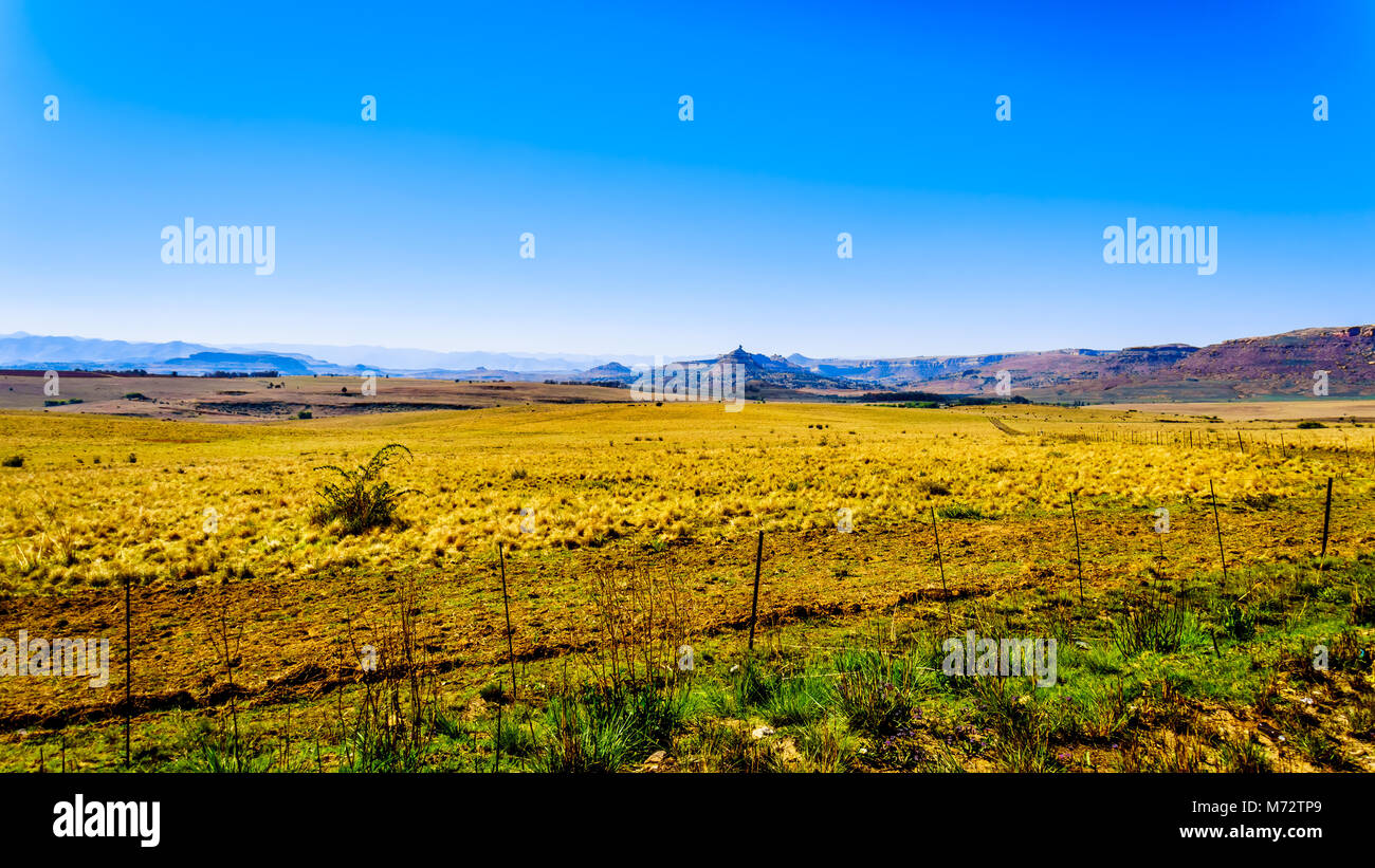 Landschaft mit fruchtbarem Ackerland entlang der Autobahn R26, in der Provinz von Südafrika, mit der Bergkette von Lesotho im Hintergrund Stockfoto