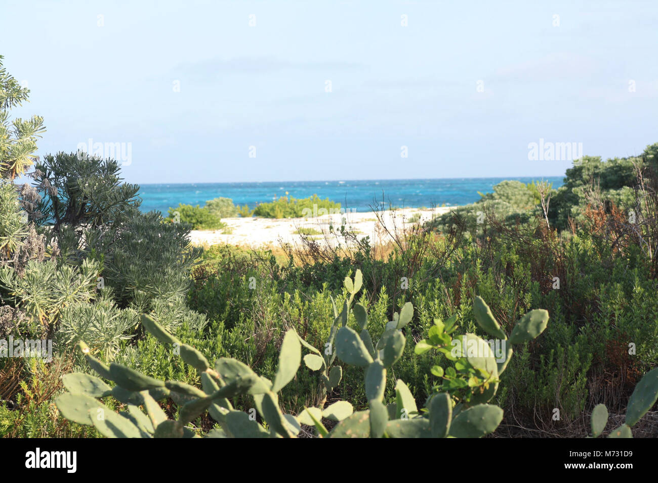 Blick von unechten Schlüssel. Stockfoto