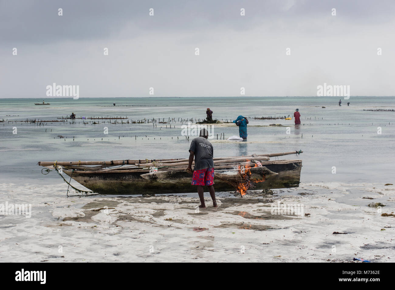 Mit brennenden Palmwedel Moos und grüne Wiese Wucherungen von der Seite seines Fischereifahrzeugs in Jambiani Sansibar Tansania zu entfernen Fischer Stockfoto