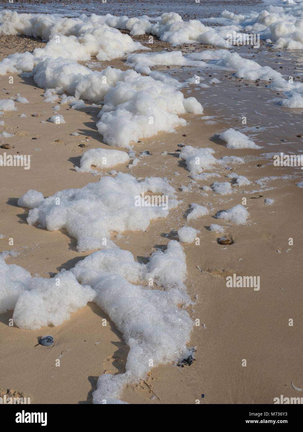 Sea Foam oder Gischt, Shoreline Stockfoto