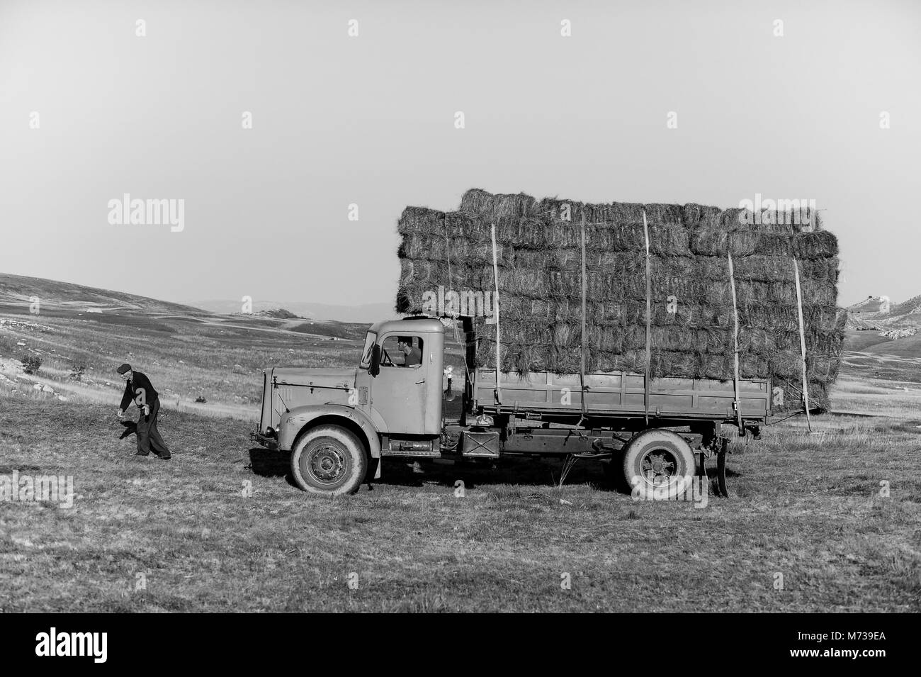 Malerische Bild des Lebensstils in den Balkan, die Landwirte in Montenegro stapeln Heu hoch oben auf einem alten gelben Lkw mit mountainlandscape im Hintergrund Stockfoto