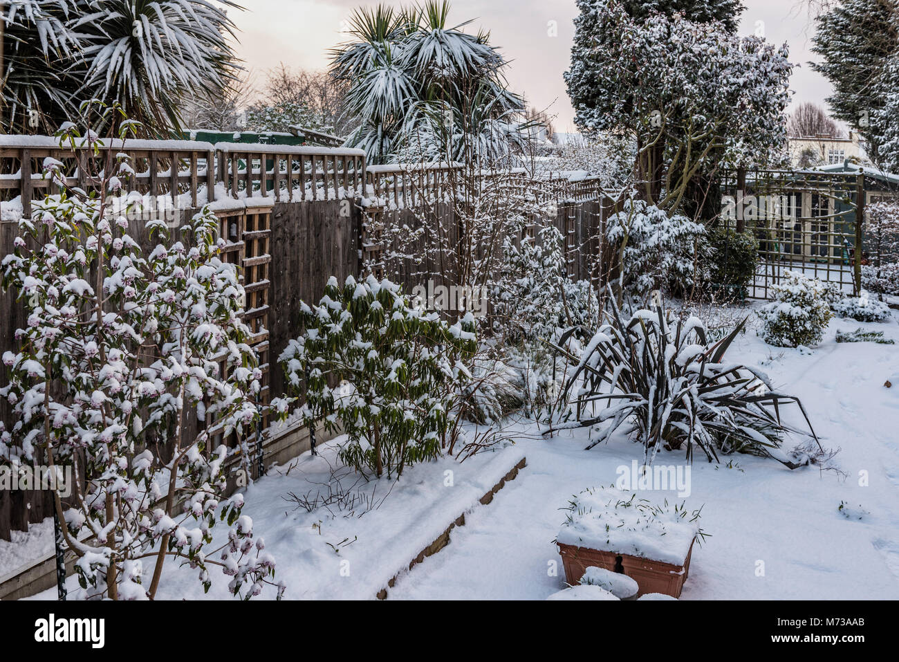 Starker Schneefall in South East England surburban Garten. Winter Gartenarbeit in Großbritannien. Stockfoto