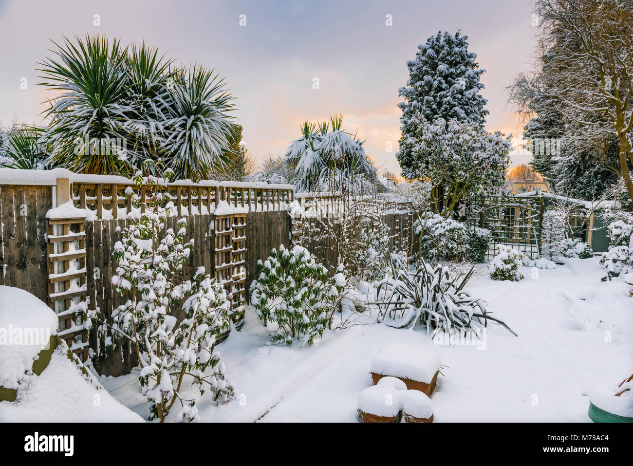Starker Schneefall in South East England surburban Garten. Winter Gartenarbeit in Großbritannien. Stockfoto