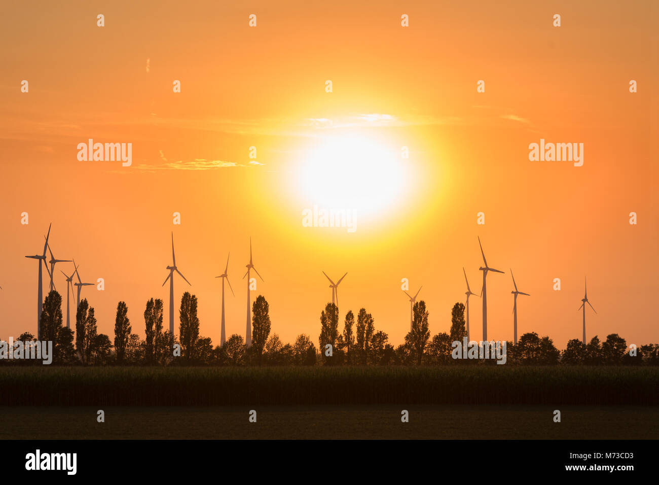 Windenergieanlagen gegen tief stehende Sonne Stockfoto