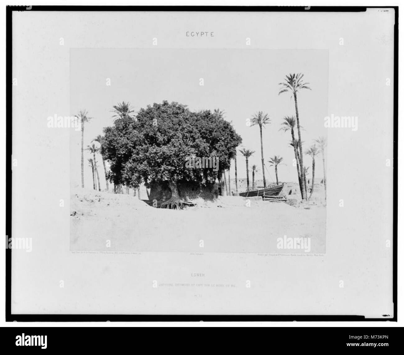 Dieses Foto von Félix Teynard zeigt die Landschaft von Esneh entlang des Nils mit Dattelpalmen, Platanen und Kaffeebäumen und veranschaulicht die landwirtschaftliche Vielfalt und landschaftliche Schönheit der Region im 19. Jahrhundert. Stockfoto