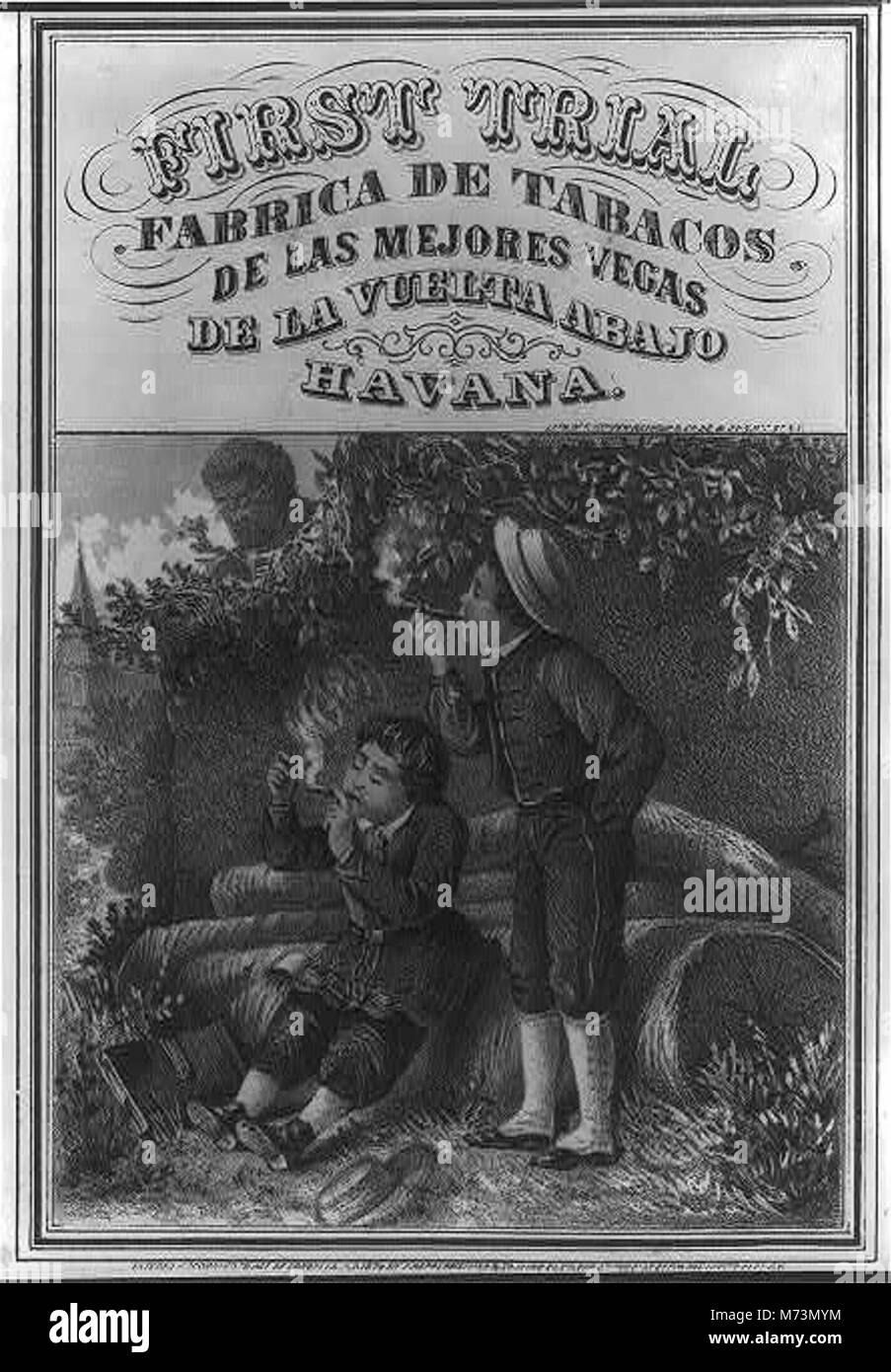 Erster Versuch - Fabrica de Tabacos de las mejores Vegas de La Vuelta Abajo, Havanna. LCCN 2001697781 Stockfoto