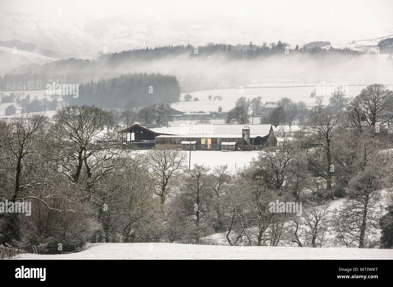 Clitheroe, Lancashire, UK. 8. März 2018. Ackerland in der Nähe von Chipping, Lancashire durch eine Überraschung Schneefall getroffen. Quelle: John Eveson/Alamy leben Nachrichten Stockfoto