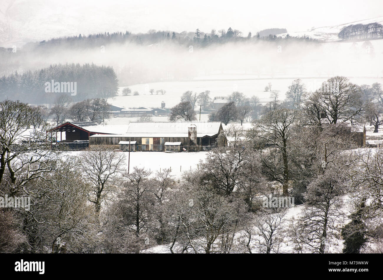 Clitheroe, Lancashire, UK. 8. März 2018. Ackerland in der Nähe von Chipping, Lancashire durch eine Überraschung Schneefall getroffen. Quelle: John Eveson/Alamy leben Nachrichten Stockfoto
