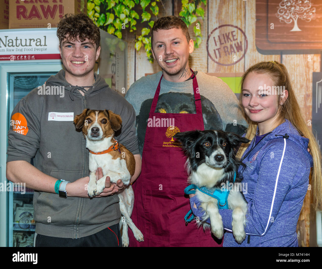 Birmingham, Großbritannien. 8 Mär, 2018. Professor Grün ein Fotoshooting auf der Benyfit Natürlichen stand dieses Jahr auf der Crufts Dog Show Birminghams am NEC. Credit: charlie Bryan/Alamy leben Nachrichten Stockfoto