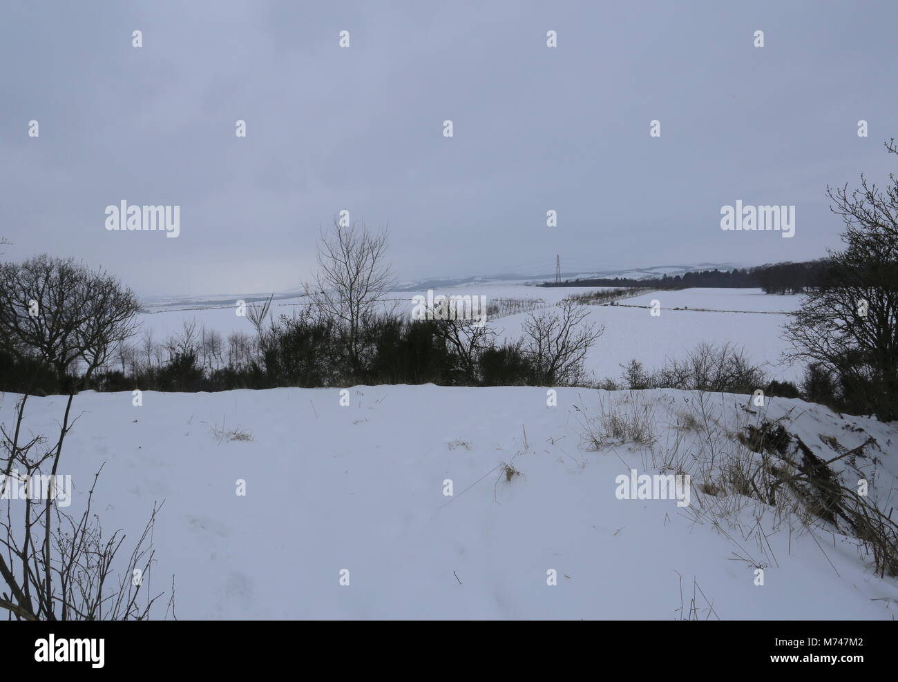 Blick auf Ackerland vom Roundie Birkhill Angus Schottland März 2018 Stockfoto