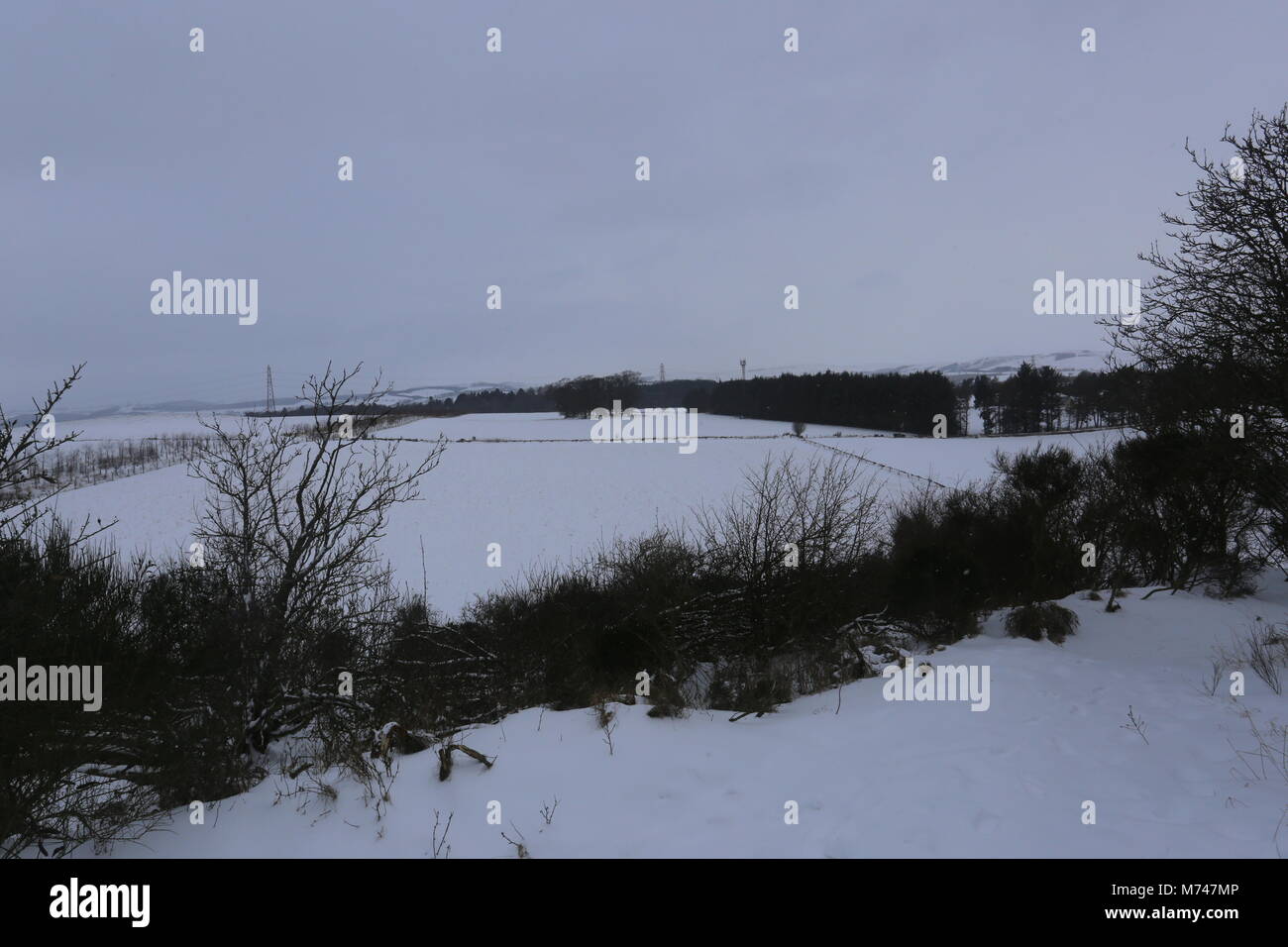 Blick auf Ackerland vom Roundie Birkhill Angus Schottland März 2018 Stockfoto