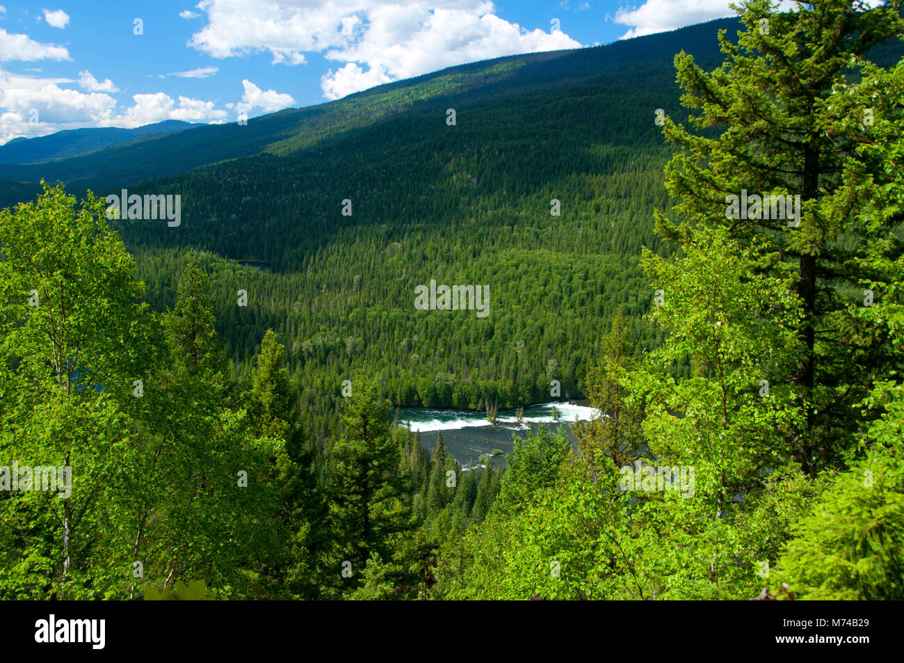 Osprey Falls Lookout zu Osprey fällt, Wells Gray Provincial Park, British Columbia, Kanada Stockfoto