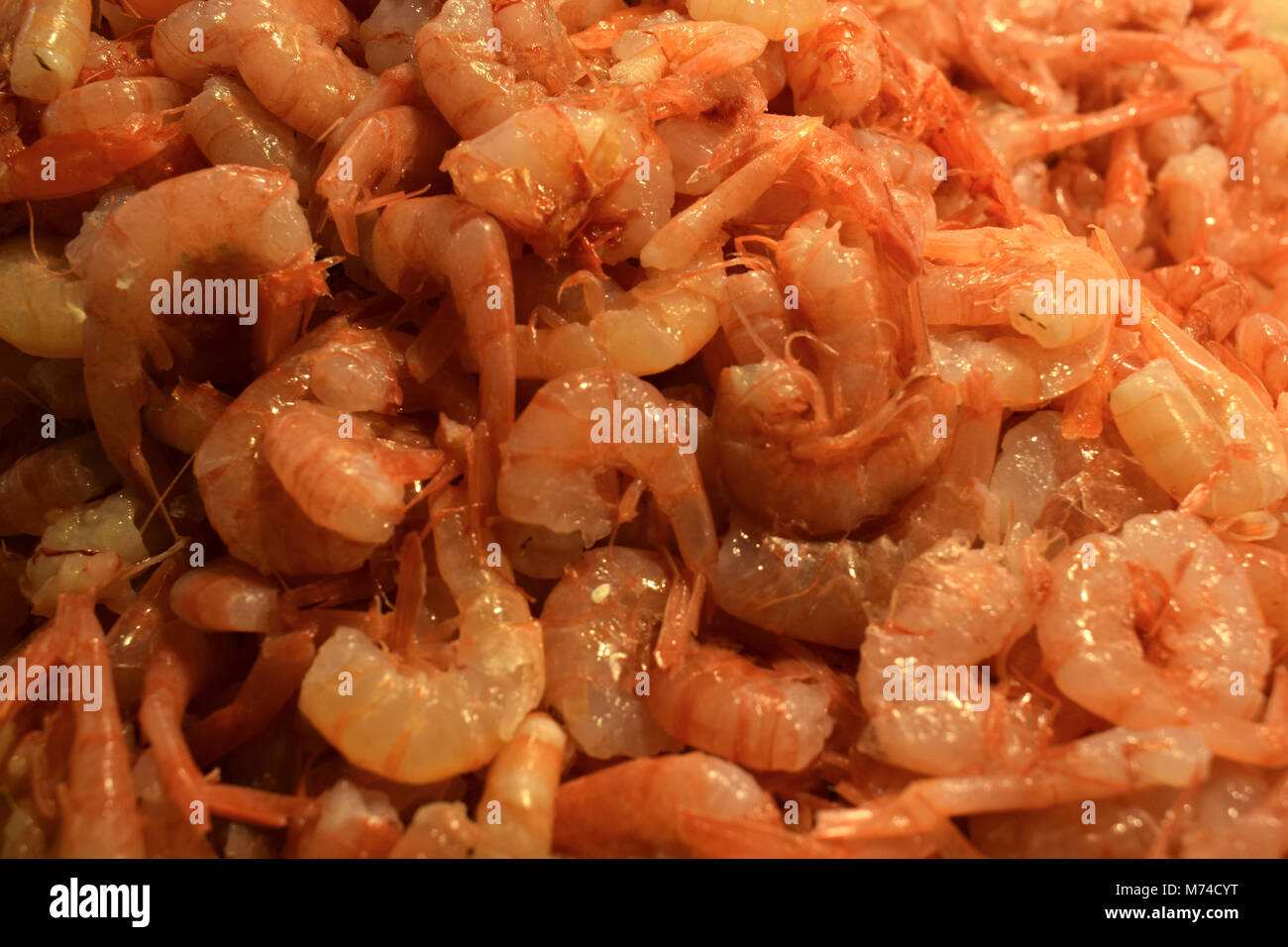 Geschälte Rosa Garnelen an ein fischhändler Stand beim Rialto Fischmarkt (Mercato di Rialto) in Venedig, Italien Stockfoto