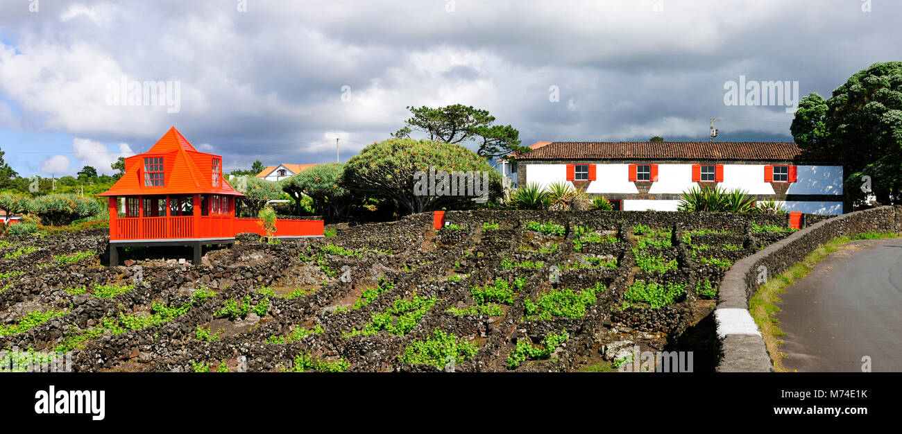 Museu do Vinho (Weinmuseum). Madalena, Pico. Azoren, Portugal Stockfoto