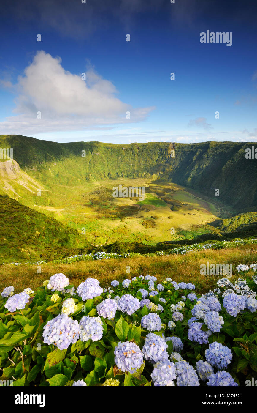 Die Caldeira, Der große vulkanische Krater von Faial. Azoren, Portugal Stockfoto