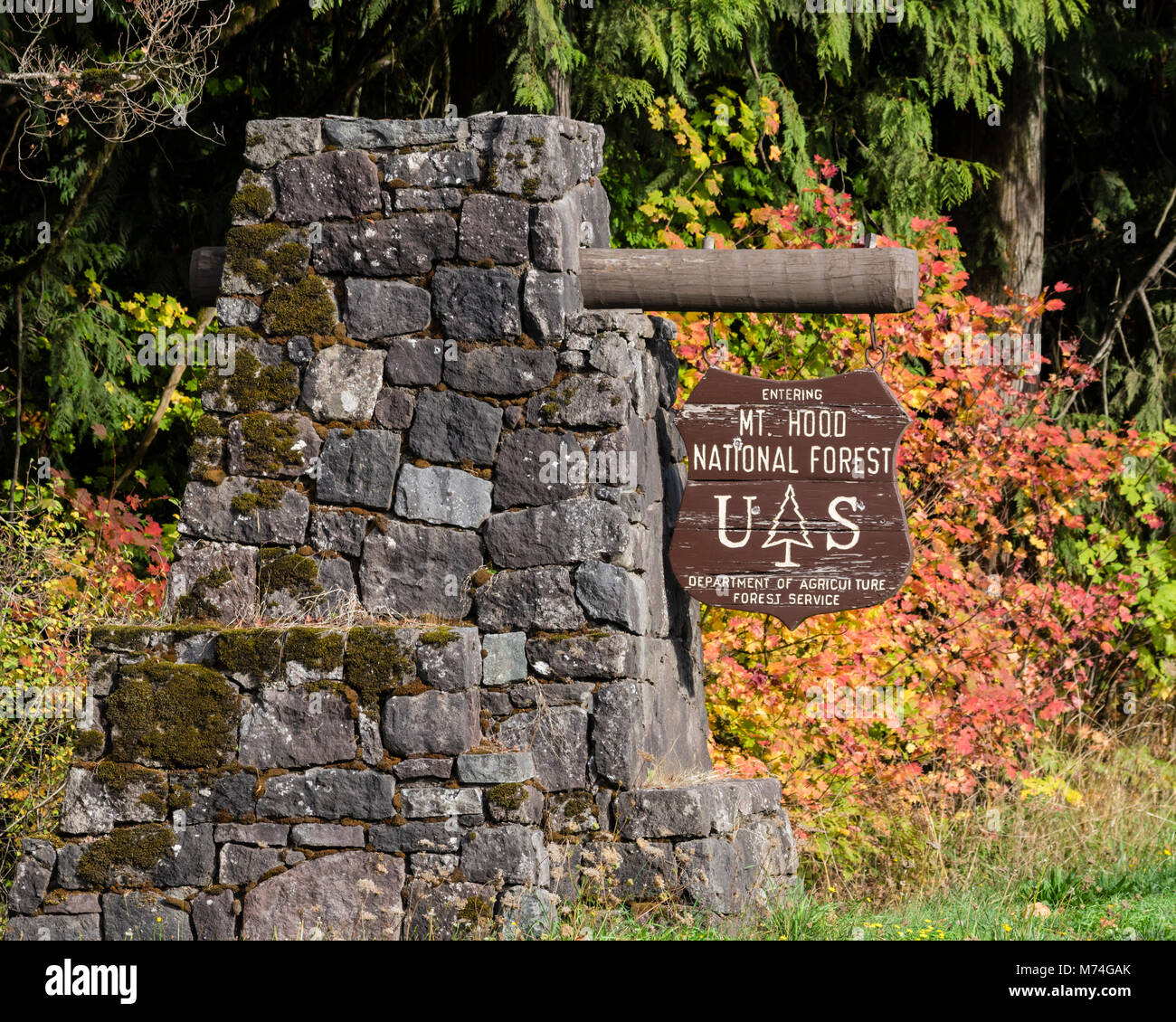 Eingang Signal für die Mt Hood National Forest, Oregon Stockfoto