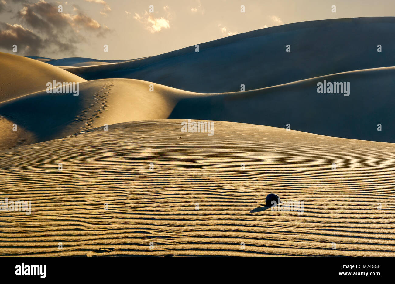 Sanddünen im berühmten natürlichen Strand von Maspalomas. Gran Canaria, Kanarische Inseln, Spanien Stockfoto