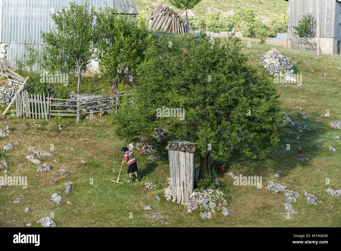 Alte Dame harken Gräser unter einem Baum in einem typischen authentisches Dorf in Montenegro Stockfoto